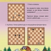 "Шахматы для дошкольников и младших школьников. Часть 2" Абрамов С, Касаткина В. - «globural.ru» - Архангельск