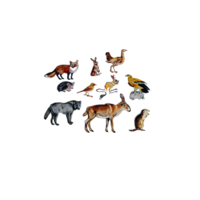 Фланелеграф "Животные степи" - «globural.ru» - Архангельск