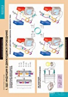 Физика. Электромагнетизм (комплект таблиц) - «globural.ru» - Архангельск