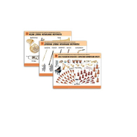 Комплект демонстрационных учебных таблиц (по предметной области музыка) - «globural.ru» - Архангельск