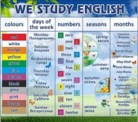 Стенд "We study english" - «globural.ru» - Архангельск