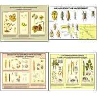 Плакаты ПРОФТЕХ "Вредители и болезни с/х культур и меры борьбы с ними" (11 пл, винил, 70х100) - «globural.ru» - Архангельск