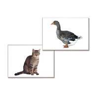 Дидактическое пособие "Домашние животные" (24 карточки, А4, ламинированное) - «globural.ru» - Архангельск