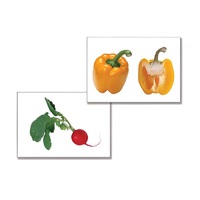 Дидактическое пособие "Овощи" (24 карточки, А4, ламинированное) - «globural.ru» - Архангельск