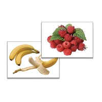 Дидактическое пособие "Фрукты, ягоды, орехи" (24 карточки, А4, ламинированные) - «globural.ru» - Архангельск