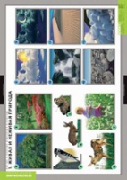 Окружающий мир. Летние и осенние изменения в природе (комплект таблиц) - «globural.ru» - Архангельск