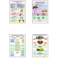 Плакаты ПРОФТЕХ "Классификация овощей и переработка" (8 пл, винил, 70х100) - «globural.ru» - Архангельск