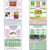 Плакаты ПРОФТЕХ "Классификация овощей" (11 пл, винил, 70х100) - «globural.ru» - Архангельск