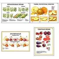 Плакаты ПРОФТЕХ "Ассортимент овощных культур" (12 пл, винил, 70х100) - «globural.ru» - Архангельск