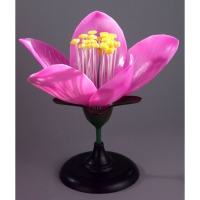 Модель "Цветок персика" - «globural.ru» - Архангельск