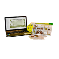 Коллекция натурально-интерактивная "Палеонтологическая" - «globural.ru» - Архангельск