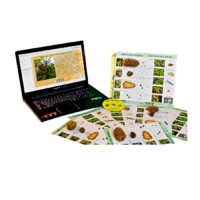 Коллекция натурально-интерактивная "Шишки, плоды, семена деревьев и кустарников" - «globural.ru» - Архангельск