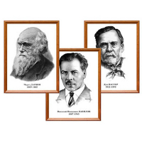 Портреты выдающихся биологов, комплект 8 шт - «globural.ru» - Архангельск