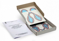 Модель-аппликация Развитие легких позвоночных животных (набор из 5 карт) - «globural.ru» - Архангельск