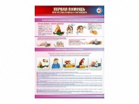 Стенды "Первая помощь в чрезвычайных ситуациях" - «globural.ru» - Архангельск