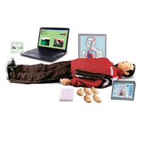 "Максим III-01"  тренажер сердечно-легочной и мозговой реанимации c обучающей компьютерной анимационной программой - «globural.ru» - Архангельск