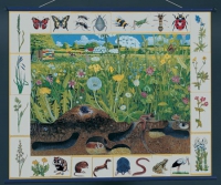 Магнитный плакат "Природное сообщество луга" - «globural.ru» - Архангельск