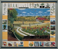 Магнитный плакат "Природное сообщество поля" - «globural.ru» - Архангельск