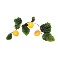 Ветка муляжей "Абрикосы" - «globural.ru» - Архангельск