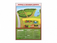 Магнитно-маркерная доска "Лесные и торфяные пожары" + комплект тематических магнитов - «globural.ru» - Архангельск