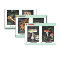 Комплект таблиц раздаточных "Грибы съедобные и несъедобные" - «globural.ru» - Архангельск