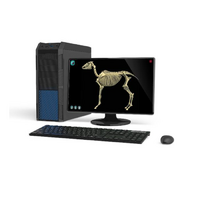 Макет масштабный «Скелет Лошади» Масштаб 1:2 - «globural.ru» - Архангельск