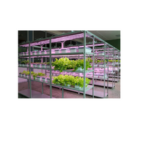 Обучающий комплект "АГРОкласс" - «globural.ru» - Архангельск