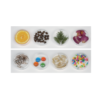 Игра "СенсиБар" - «globural.ru» - Архангельск