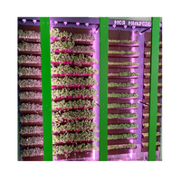 Вертикальная ферма "Моя Микрозелень" комплектация Школьная - «globural.ru» - Архангельск