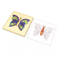 Строение бабочки с контуром. - «globural.ru» - Архангельск