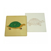 Строение черепахи с контуром - «globural.ru» - Архангельск