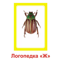 Логопедка "Ж" (логопедические карточки) - «globural.ru» - Архангельск
