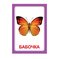 Логопедка "Ч" (логопедические карточки) - «globural.ru» - Архангельск