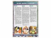 Стенд "Белки. Жиры. Углеводы" - «globural.ru» - Архангельск