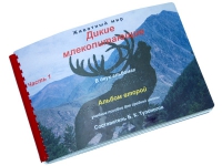 Пособие для слабовидящих "Дикие млекопитающие" - «globural.ru» - Архангельск