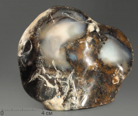 Агат дендритовый (халцедон), полировка - «globural.ru» - Архангельск