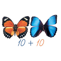 Счетный материал на магнитах "Бабочки-1". - «globural.ru» - Архангельск