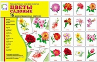 Демонстрационные карточки "Цветы садовые" - «globural.ru» - Архангельск