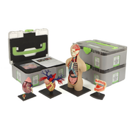 Учебный набор "Анатомия в деталях" - «globural.ru» - Архангельск