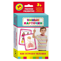 Карточки Домана "Как устроен человек" - «globural.ru» - Архангельск