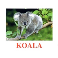 "Wild Animals-2" ("Дикие животные-2") английские карточки Домана - «globural.ru» - Архангельск