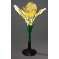 Модель Цветок капусты - «globural.ru» - Архангельск