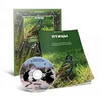 Электронное наглядное пособие «Птицы» - «globural.ru» - Архангельск