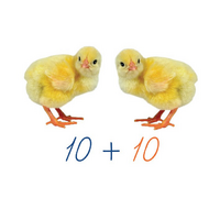 Счетный материал на магнитах "Цыплята". - «globural.ru» - Архангельск