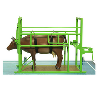 Наглядный макет «Методы и устройства для фиксации КРС» - «globural.ru» - Архангельск