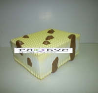 Модель Строение клеточной оболочки - «globural.ru» - Архангельск