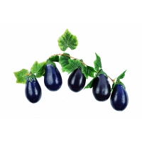 Ветка муляжей "Баклажаны" - «globural.ru» - Архангельск