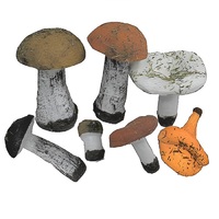 Набор муляжей грибов 7 штук - «globural.ru» - Архангельск