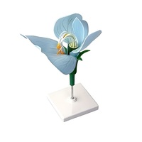 Модель цветка гороха - «globural.ru» - Архангельск