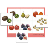 Лото "Фрукты, ягоды, орехи" (4 планшета, 24 карточки, цветное, ламинированное) - «globural.ru» - Архангельск